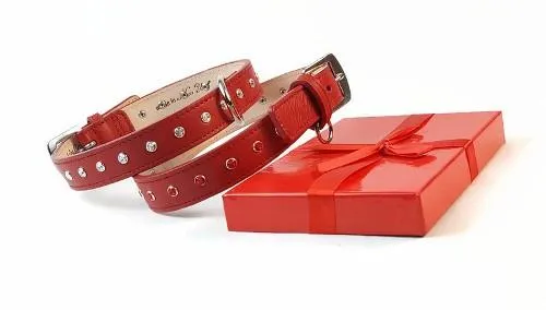 Brie Leather Christmas Dog Collar with Single Row Crystals