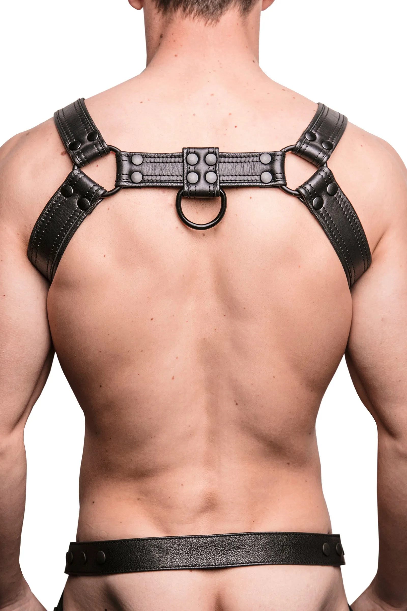COMBAT BULLDOG - Black