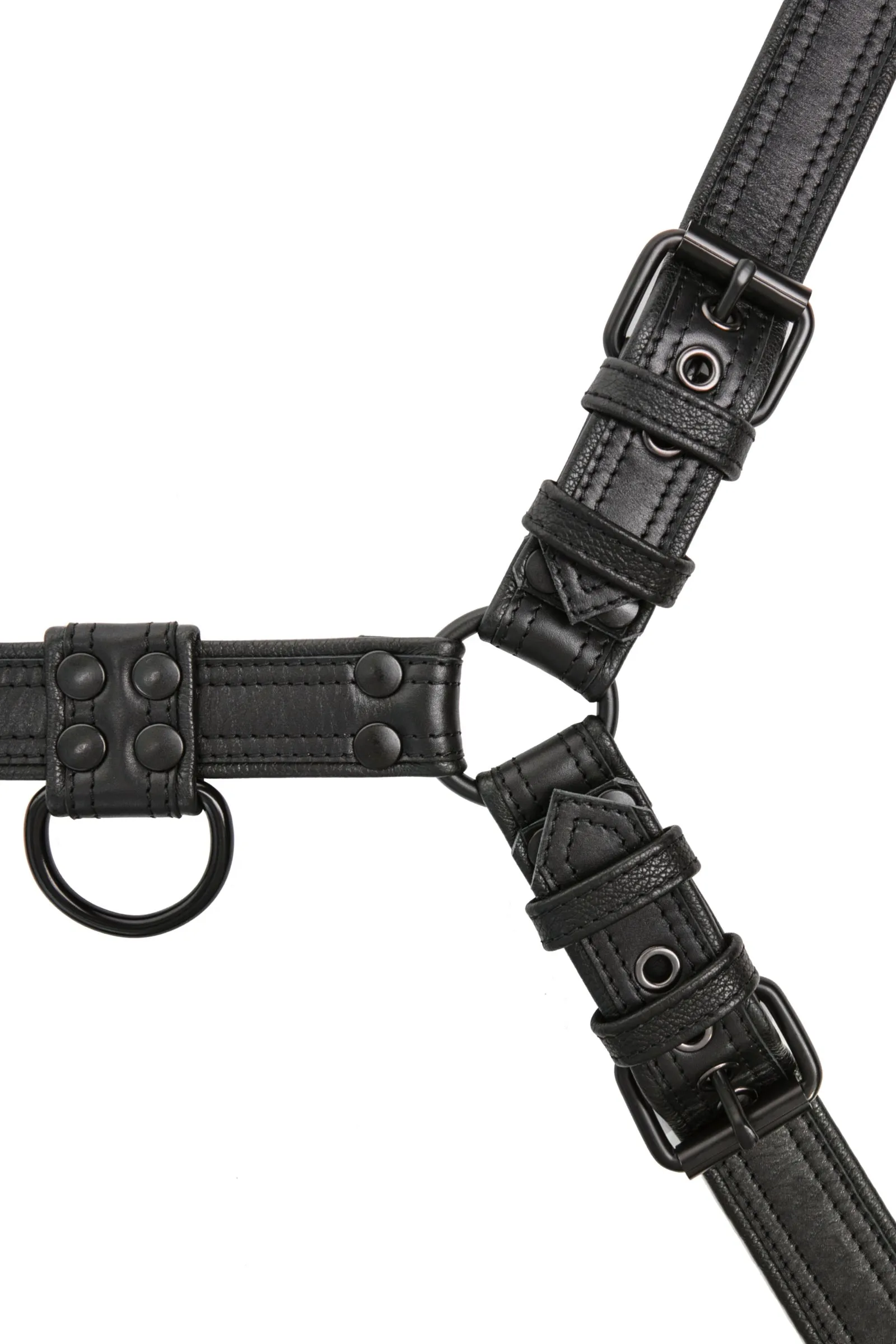 COMBAT BULLDOG - Black