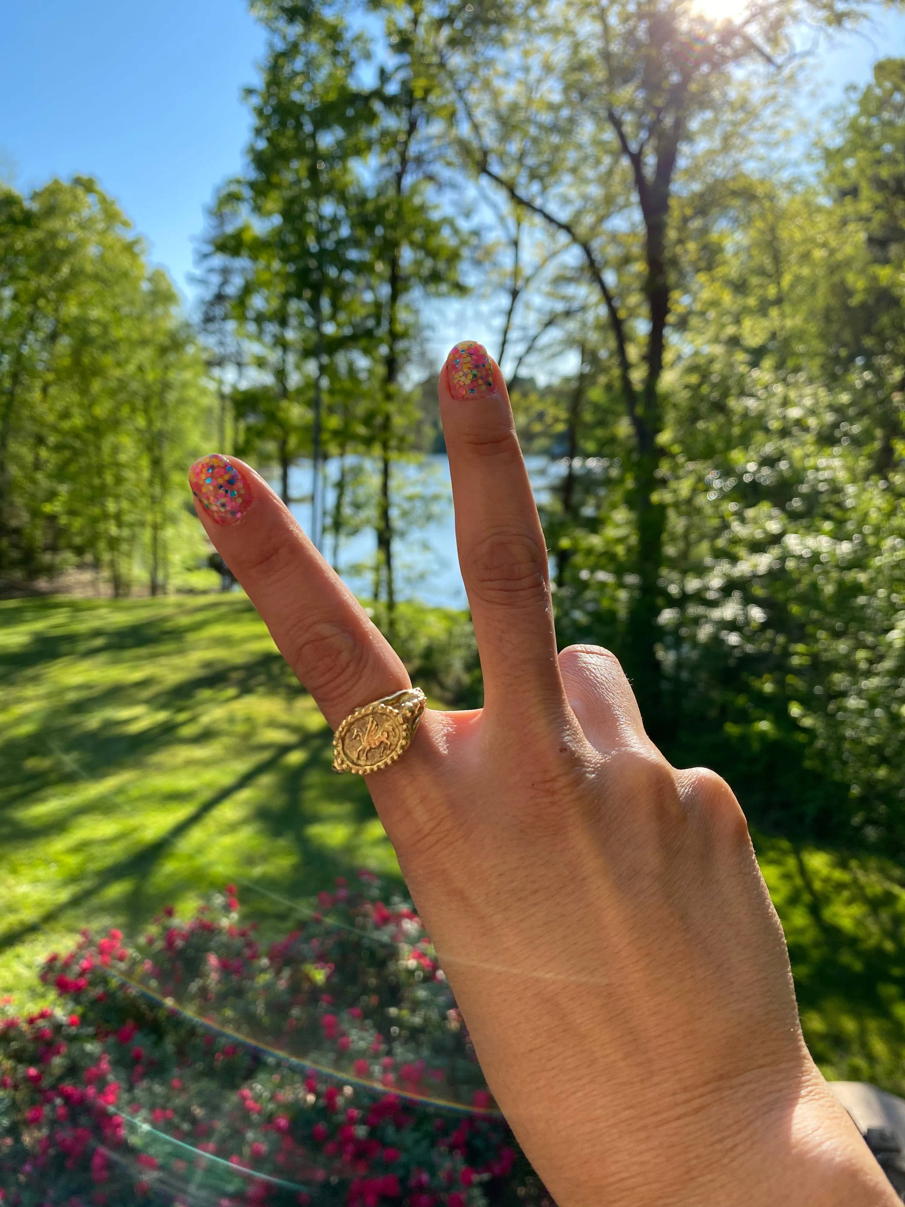 Matthia's & Claire Etrusca Pegasus Signet Ring