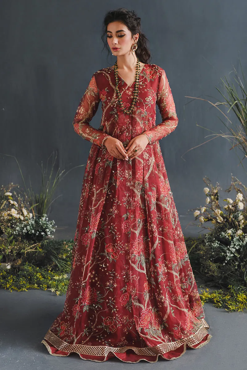 MUSHQ | LUXURY PRET PRINTED ORGANZA'23 | RUBY RADIANCE