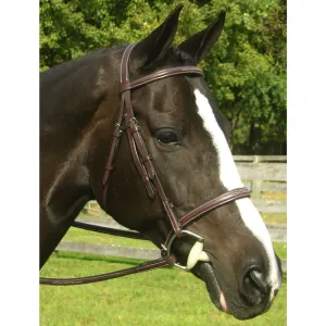 Red Barn Sovereign Raised Fancy Stitched Padded Bridle