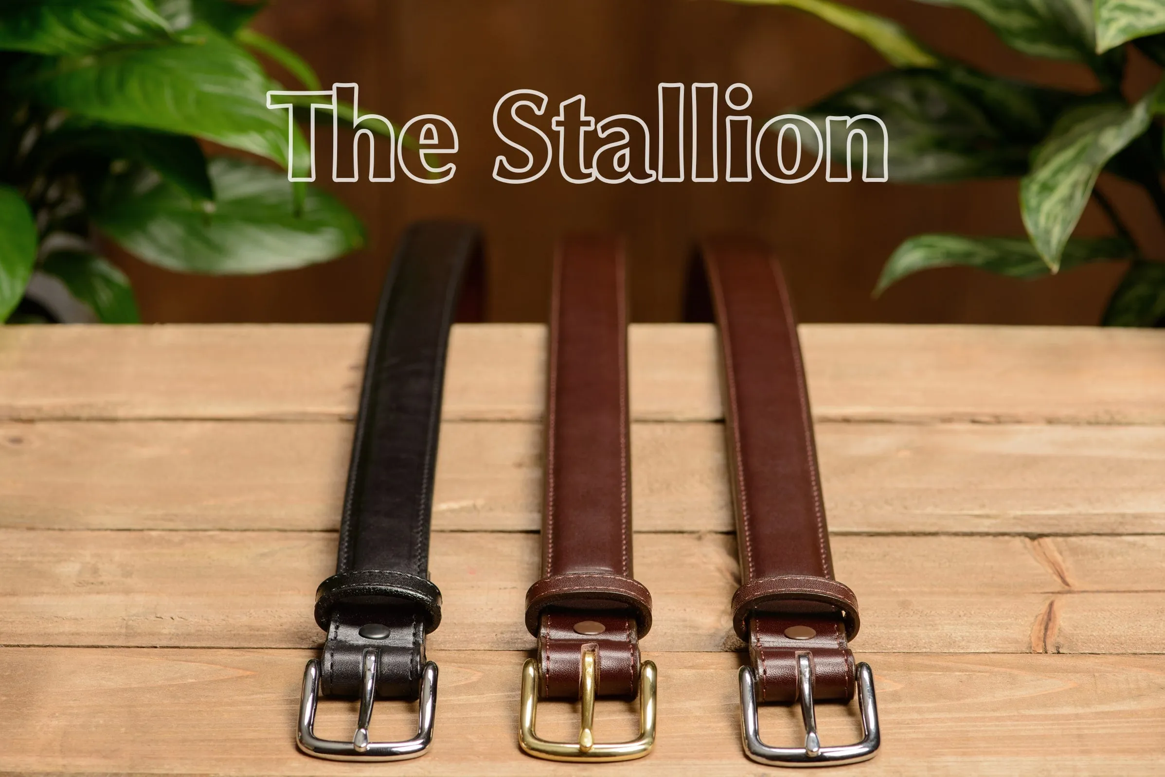 The Stallion: Men's Chocolate Brown Stitched Italian Leather With Steel Core And Brass Buckle 1.25"