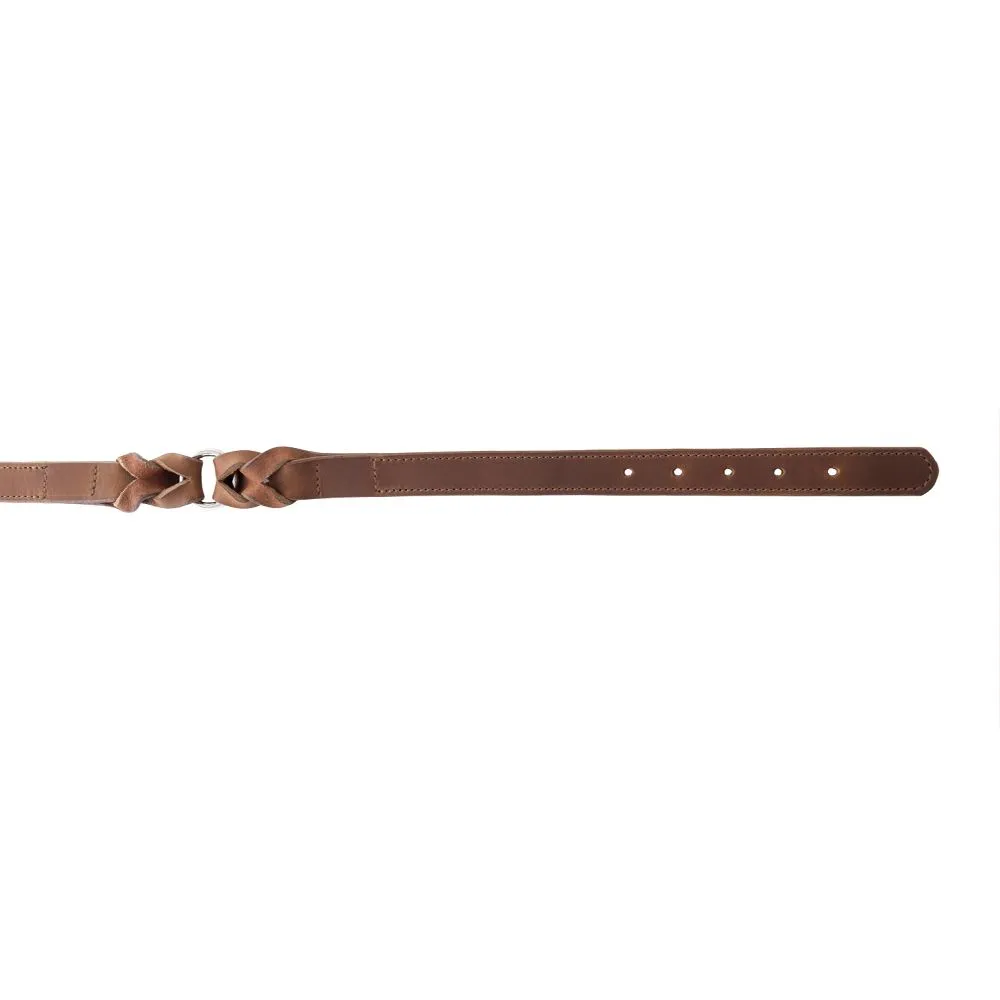 Topside Dog Collar in Chocolate